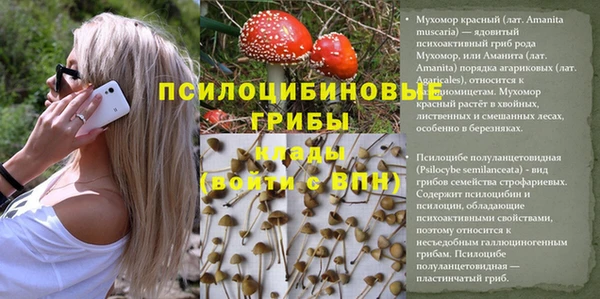 PSILOCYBIN Алексин