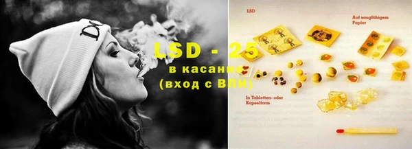 PSILOCYBIN Алексин