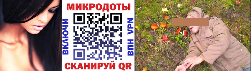 Галлюциногенные грибы мицелий  где купить   Камышин 