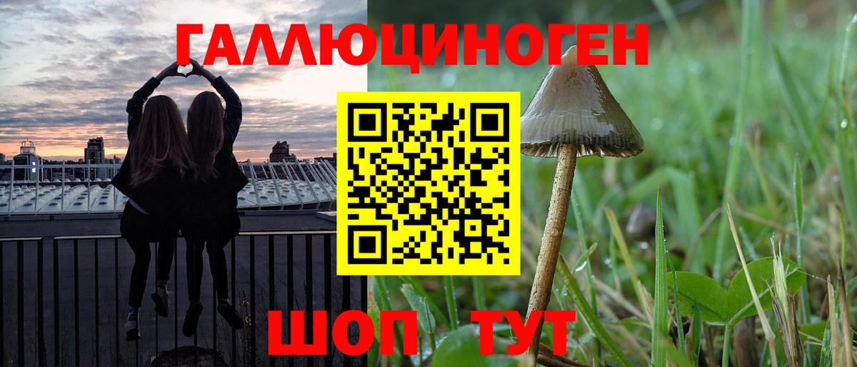 купить наркотики сайты  Псилоцибиновые грибы Magic Shrooms  Вход с VPN  Камышин 