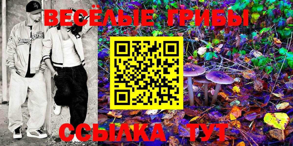 Псилоцибиновые грибы Psilocybe Камышин